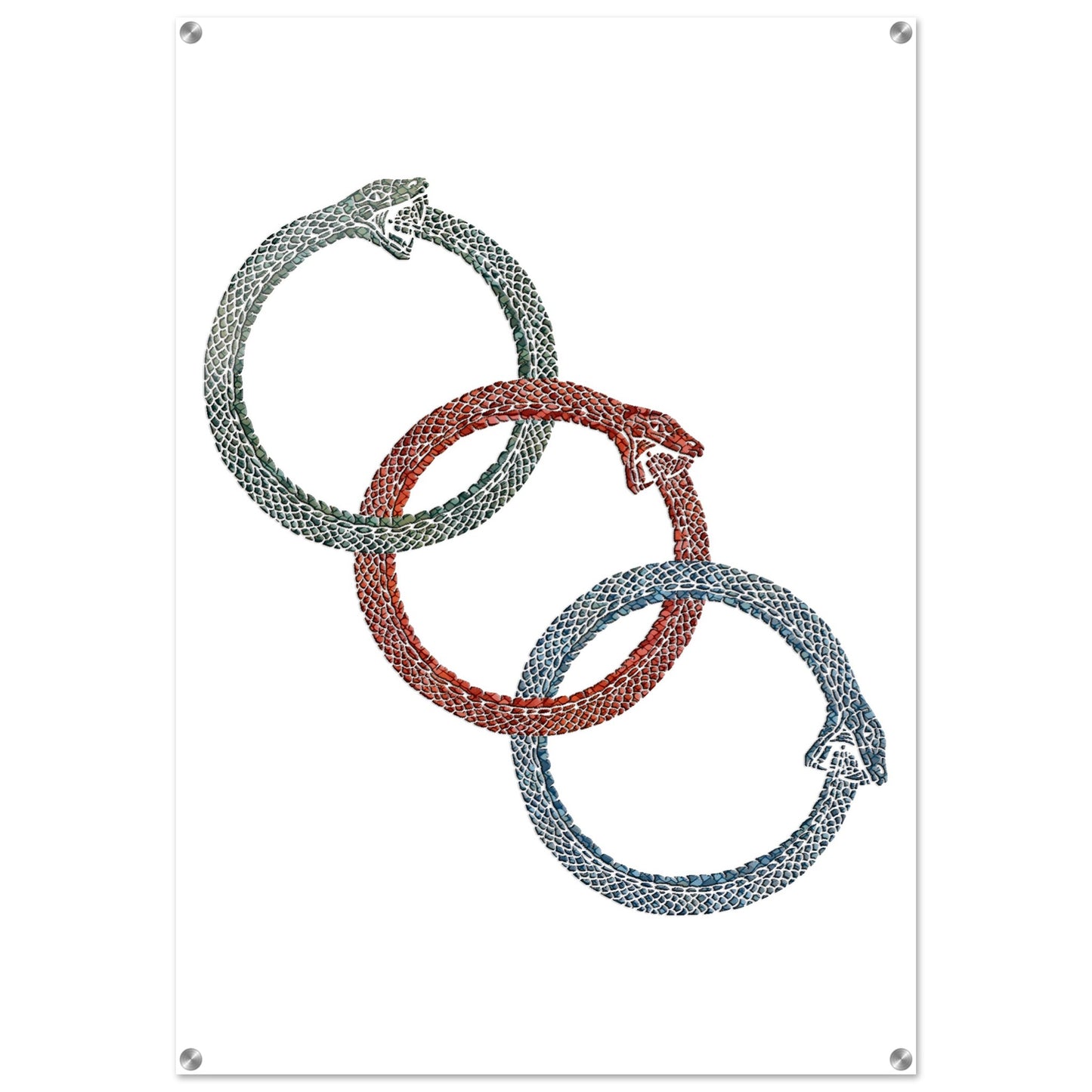 c4889306-e4ce-4b23-bd55-01f3fdc52825